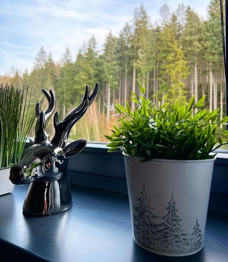 U Jelena Harrachov - Rodinny Apartman U Lesa S Garazi Dış mekan fotoğraf